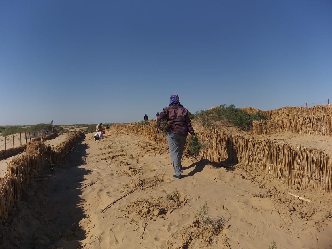 Implementation of sand retention works along the Kobyakovo-Zaburyn canal in Isatay district, Atyrau region.
