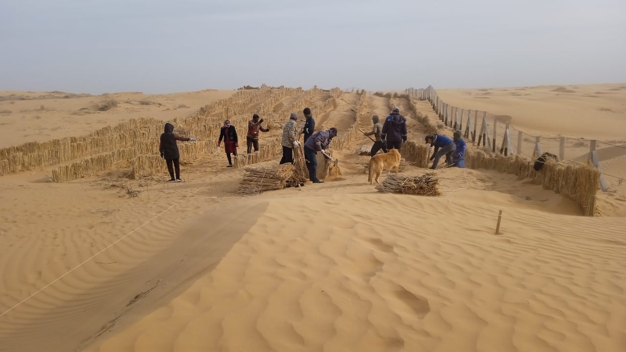 Sand retention works in the village of Ushtagan, Kurmangazinsky district, Atyrau region